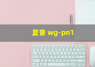 夏普 wg-pn1